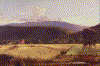 502026.GIF (161736 bytes)
