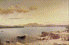 502044.GIF (161292 bytes)
